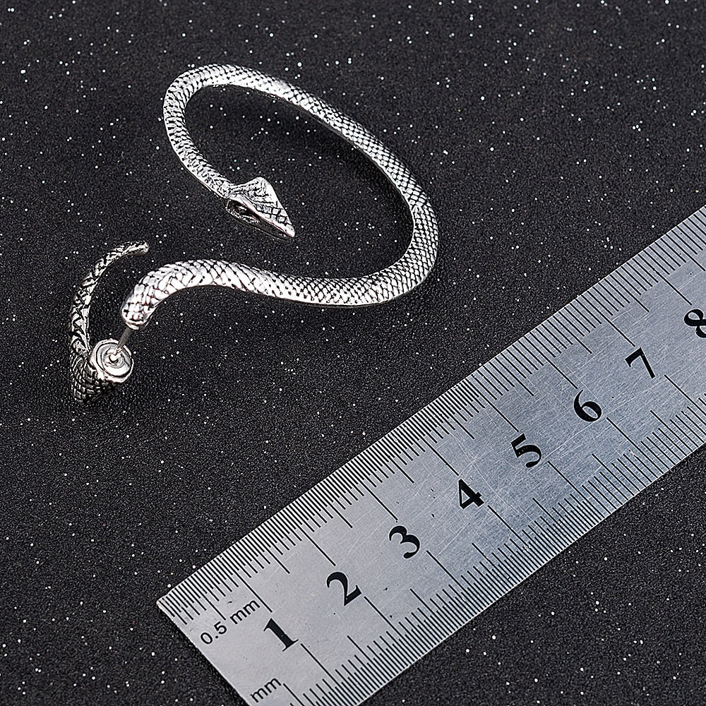 Caravanas de Serpiente en Plata 925
